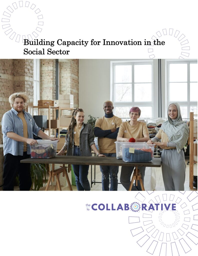 Read Building Capacity for Innovation in the Social Sector